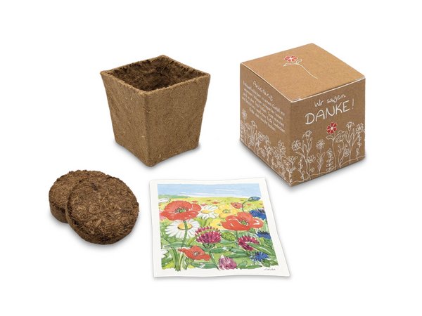 Würfel Samenpflanzset