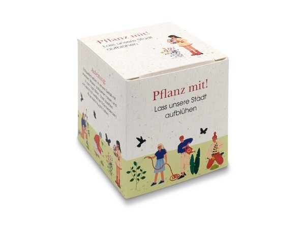Würfel Samenpflanzset