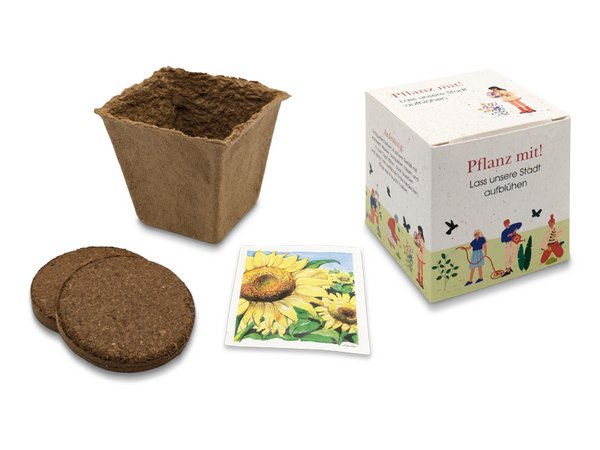 Würfel Samenpflanzset