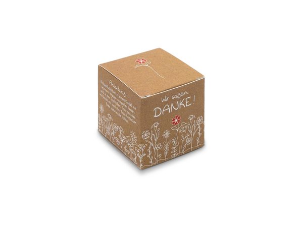 Würfel Samenpflanzset