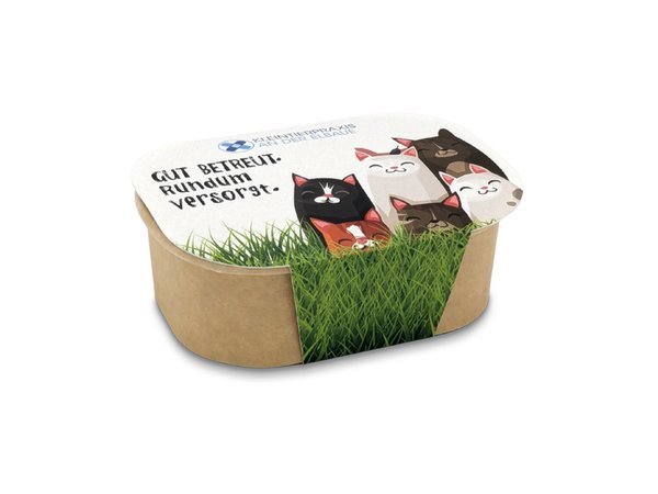 Katzengras Pflanzset