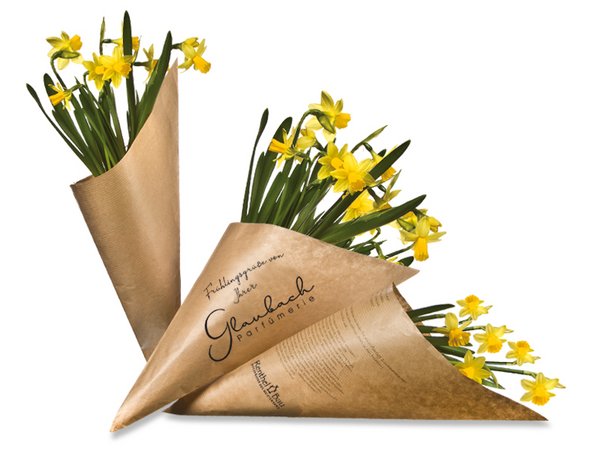 Wundertüte - Narzisse