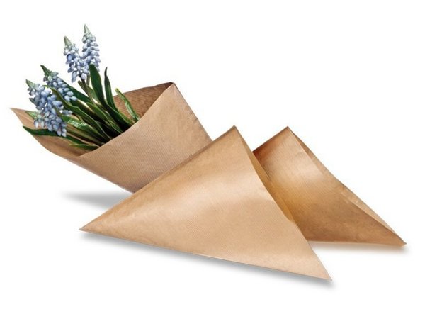 Das blaue Wunder - Muscari