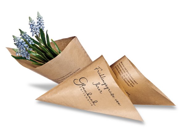 Das blaue Wunder - Muscari