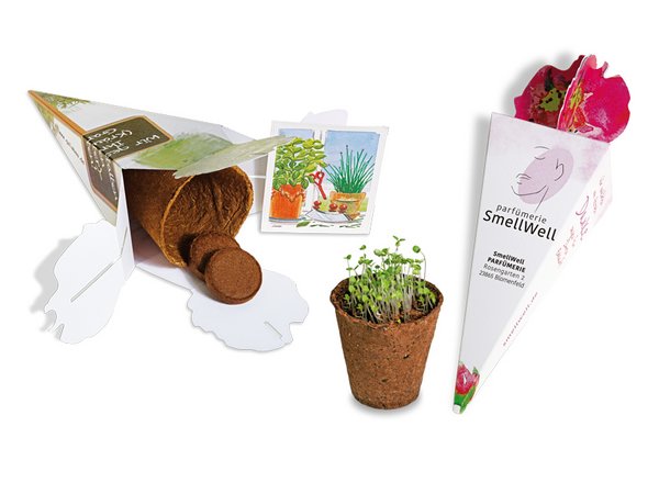 Zaubertüte - Samenset