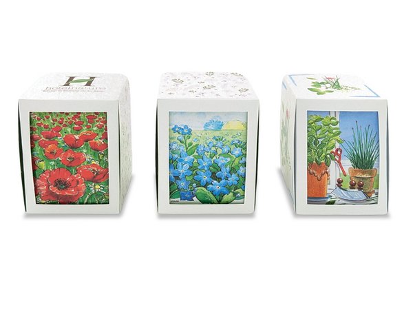 Passepartout Samenpflanzset